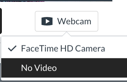 Turn off the webcam to record only audio.