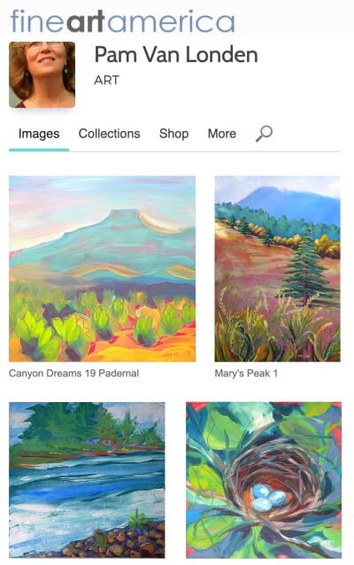 Print my paintings on canvas, paper, mugs, shower curtains, phone cases, etc.