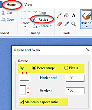 Windows Paint Resize panel