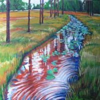 © Pam Van Londen 2007 Louisiana Swamp 1 acrylic on canvas on 12 x 12 x 1.5 canvas