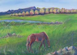 © Pam Van Londen 2007 Arizona Pasture 1 acrylic on canvas on 30 x 22 x 1 canvas