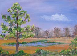 © Pam Van Londen 2007 Texas Pond 1 oil on canvasboard on 12 x 9 x 1 canvas