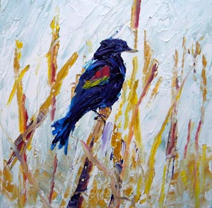 © Pam Van Londen 2009, Red-winged Blackbird 2, oil on gessobord, 8x8x1 