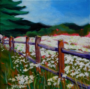 © 2013 Pam Van Londen. Daisies At The Fence. Acrylic on 12x12x.5 gallery-edged archival canvas. No need to frame. corvallis, flower field, sky, vivid, trees, red, blue, green, dark gree, white, pink, light blue, daily painting, portland, oregon, pam van londen
